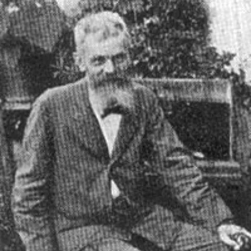 Portrait of Federigo Pastoris