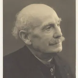 Portrait of Désiré Georges Jean Marie Bois