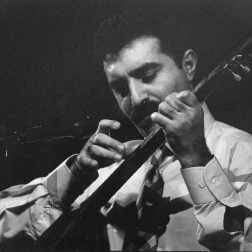 Portrait of Erdal Erzincan