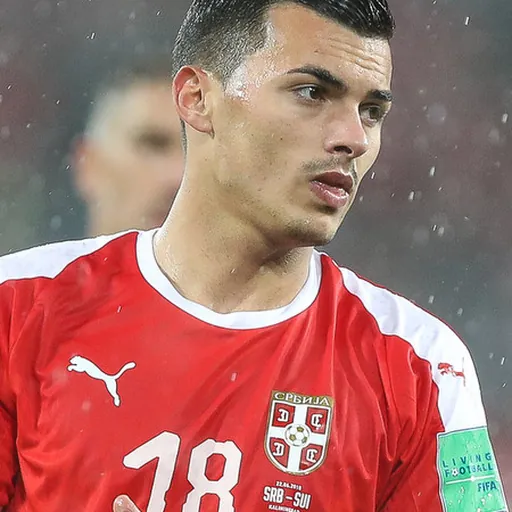 Portrait of Nemanja Radonjić