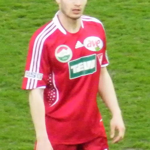 Portrait of Gergely Rudolf
