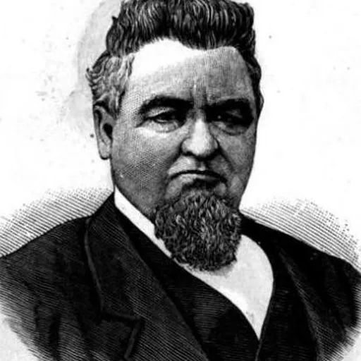 Portrait of Roswell G. Horr