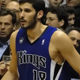 Portrait of Omri Casspi