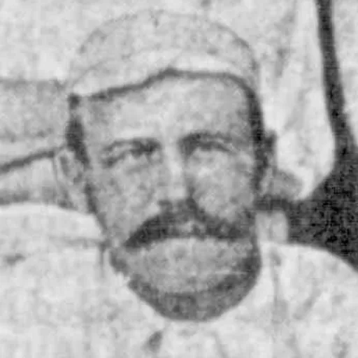Portrait of Ike Wales