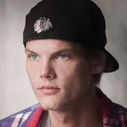 Portrait of Avicii