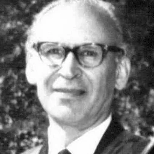 Portrait of Mehdi Bayani