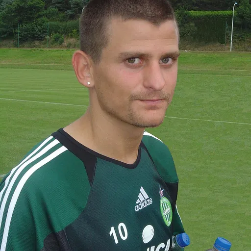 Portrait of Sébastien Mazure