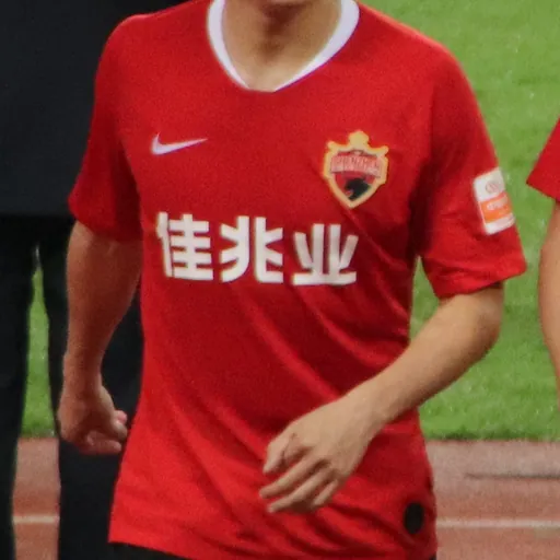 Portrait of Wang Dalong