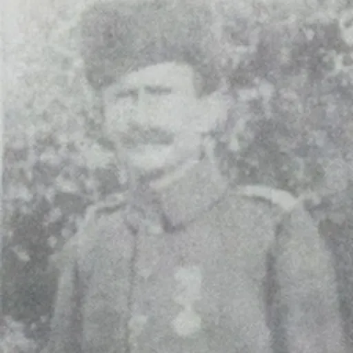 Portrait of Veysel Özgür