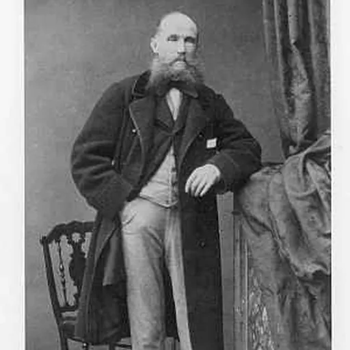 Portrait of Julian Fontana