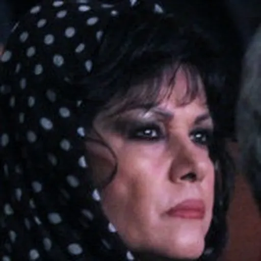 Portrait of Farzaneh Kaboli