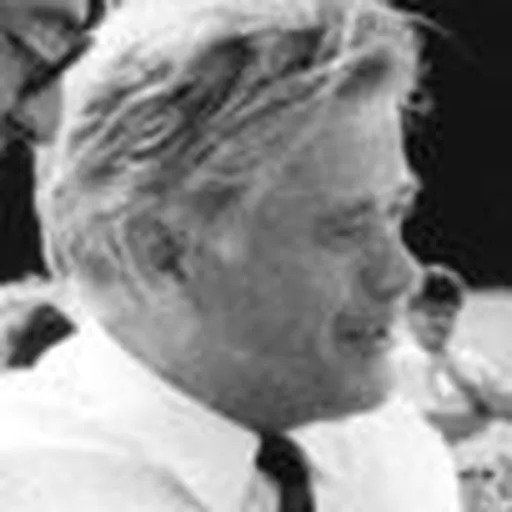 Portrait of Werner Walde