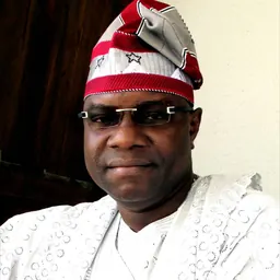 Portrait of Adebayo Adewusi