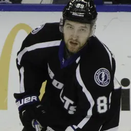Portrait of Nikita Nesterov