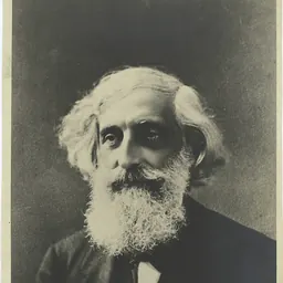 Portrait of William Chauvenet
