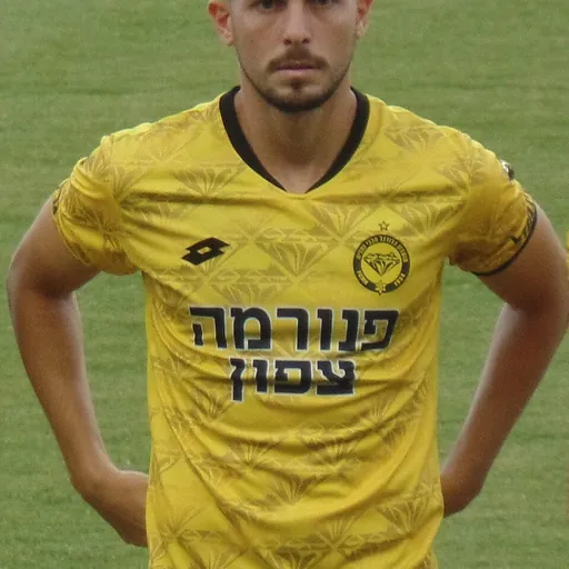 Portrait of Liran Rotman