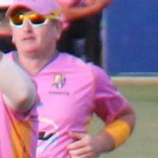 Portrait of Scott Styris