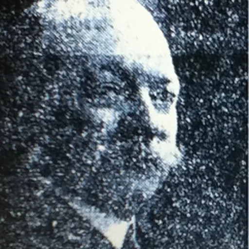 Portrait of Georges Cloetens