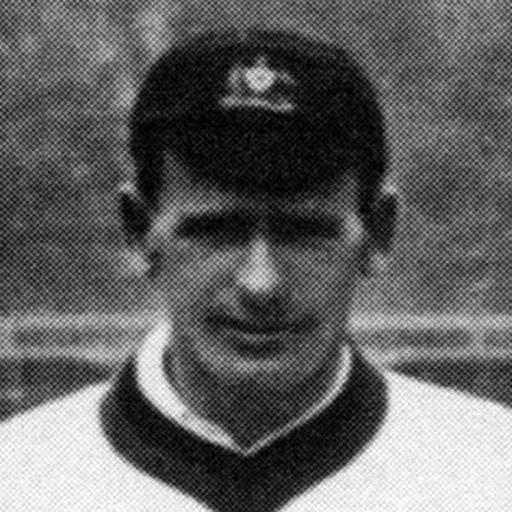 Portrait of Roy Minnett