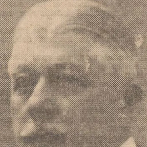 Portrait of Nicolae Săveanu