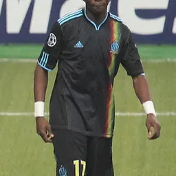 Portrait of Stéphane Mbia