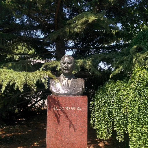 Portrait of Zhang Wenyu