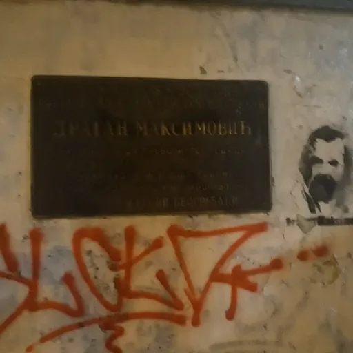 Portrait of Dragan Maksimović