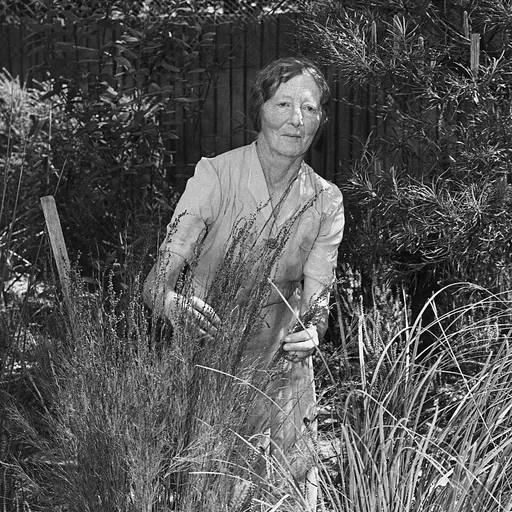Portrait of Winifred Waddell