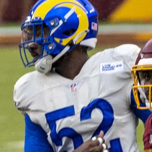 Portrait of Terrell Lewis