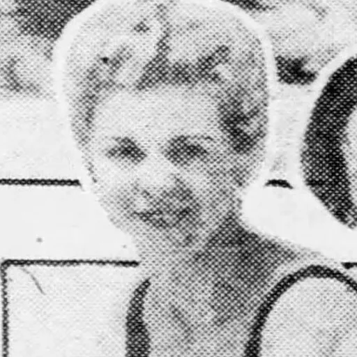 Portrait of Joan McSheehy