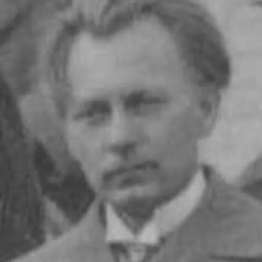 Portrait of Heinrich Behmann