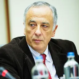 Portrait of António Manuel Fernandes da Silva Ribeiro