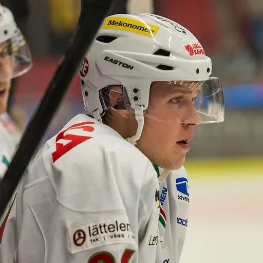 Portrait of Christopher Bengtsson