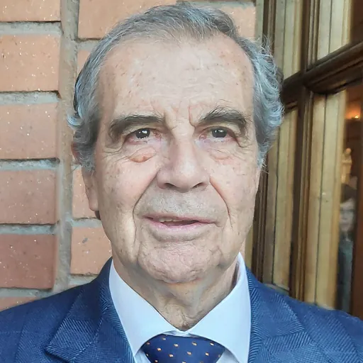 Portrait of Hermógenes Pérez de Arce Ibieta