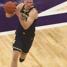 Portrait of Ignas Brazdeikis