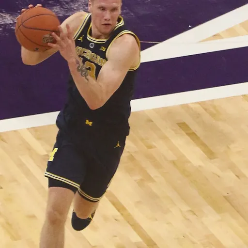 Portrait of Ignas Brazdeikis