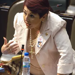 Portrait of Dolores Manuell Gómez Angulo