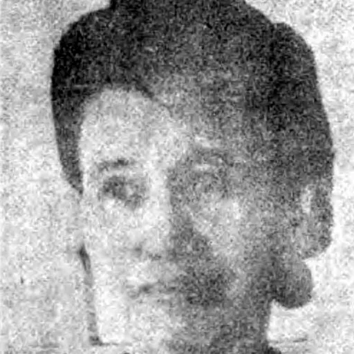 Portrait of Antoinette Waroh