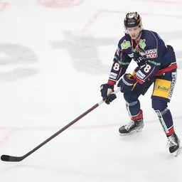 Portrait of Dominik Bokk