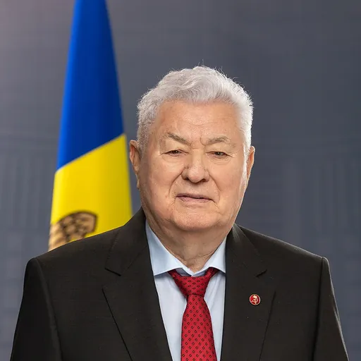 Portrait of Vladimir Voronin