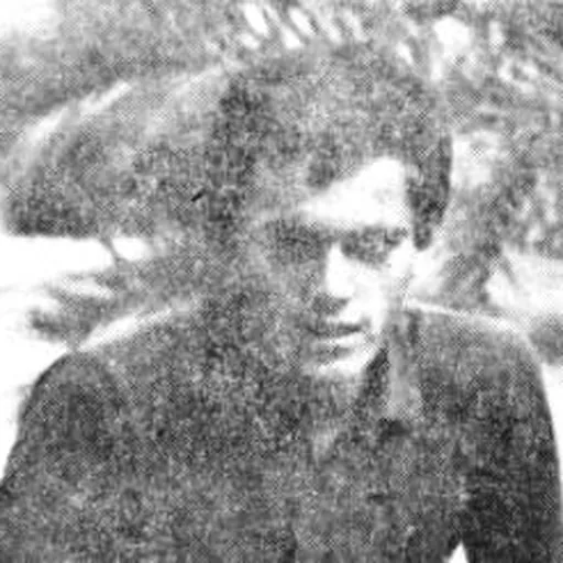 Portrait of Polde Milek