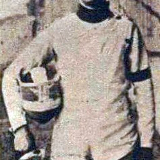 Portrait of Charles Delporte