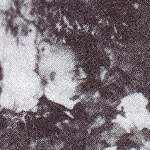 Portrait of Slavko Cuvaj