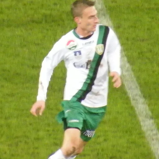 Portrait of Gábor Rajos