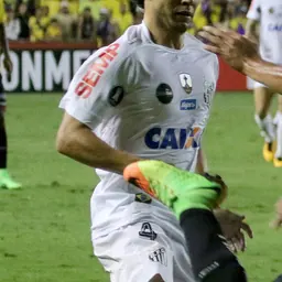 Portrait of Victor Ferraz Macedo