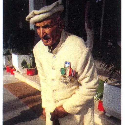 Portrait of Amir Mehdi