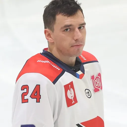 Portrait of Libor Hájek