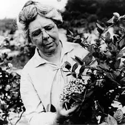 Portrait of Elizabeth Coleman White