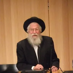 Portrait of Zalman Nechemia Goldberg