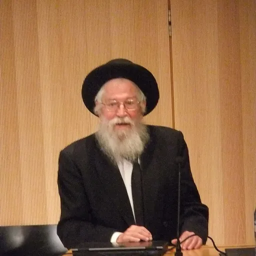Portrait of Zalman Nechemia Goldberg